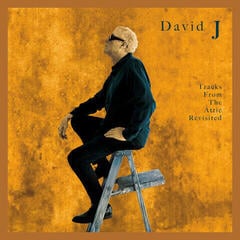 Disco in vinile David J - Tracks From The Attic Revisited (LP)