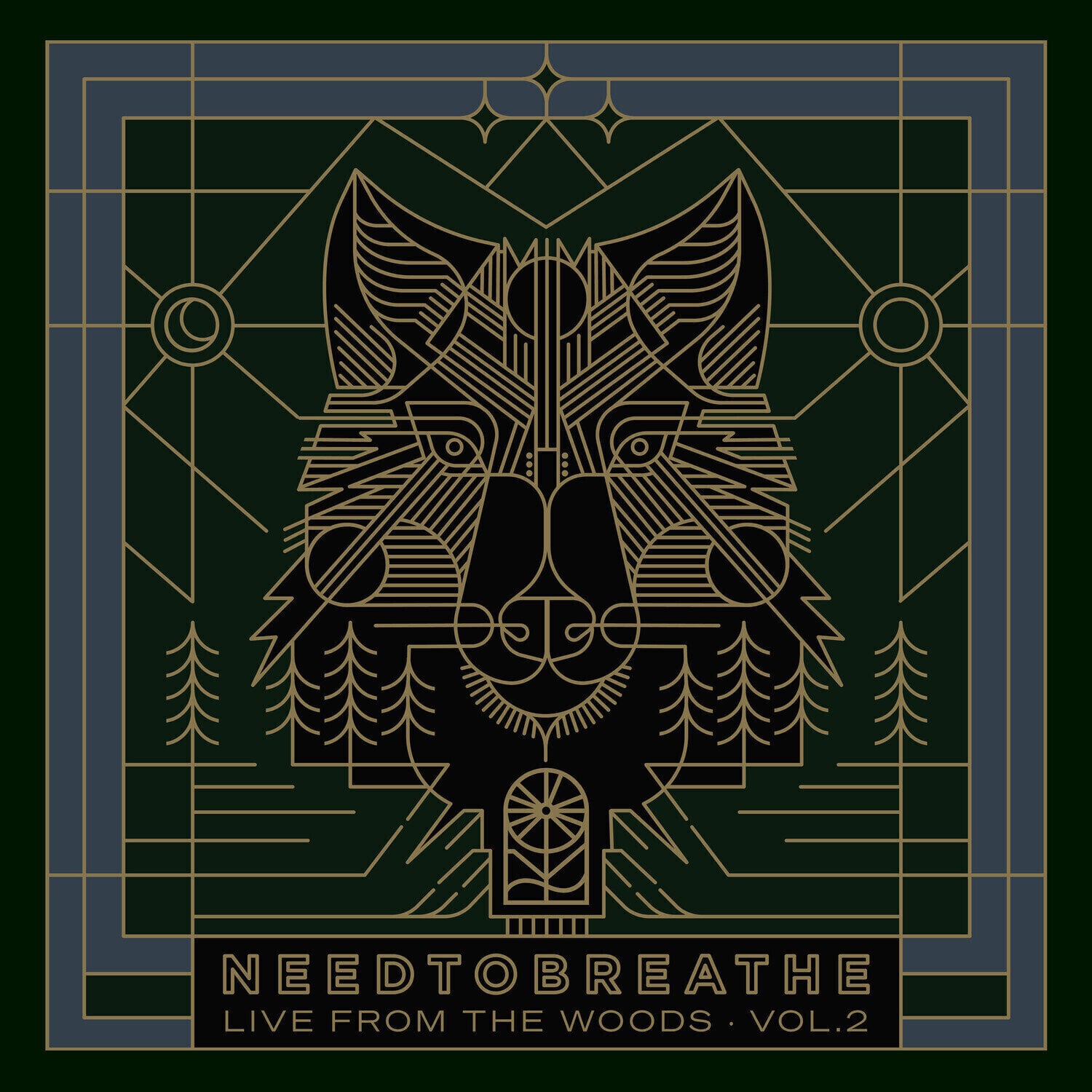 Vinyl Record Needtobreathe - Live From The Woods Vol. 2 (2 LP)