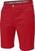 Shorts Galvin Green Paolo Ventil8+ Red 38