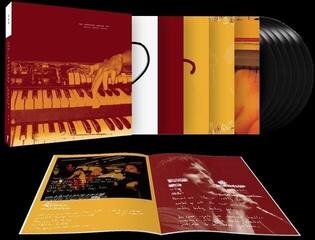 LP The American Analog Set - Destroy Destroy Destroy (Box Set) (6 LP)