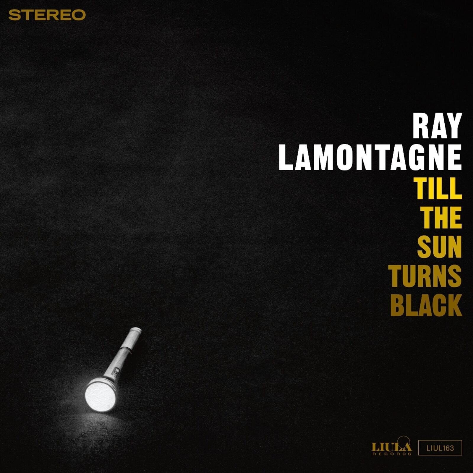 Disco de vinilo Ray Lamontagne - Till The Sun Turns Black (LP)