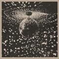 Neil Young - Mirror Ball (2 LP)
