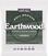 Kitarrikeeled Ernie Ball Medium Earthwood Kitarrikeeled