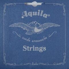Nylon Strings Aquila 91C Chitarra Terzina Series Nylon Strings