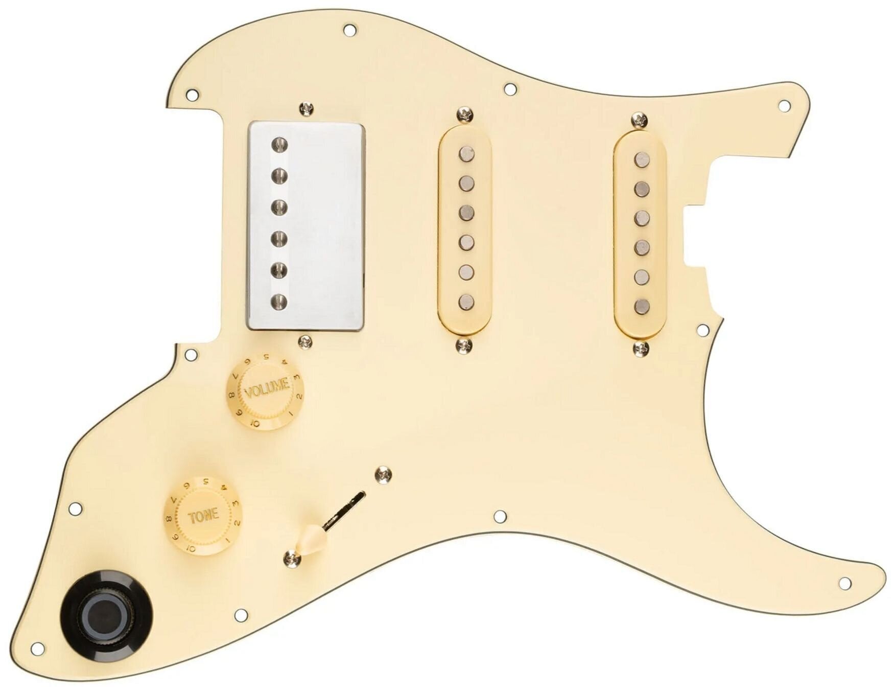 Pickguard MOOER GTRS PG Pickguard