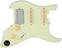 Pickguard MOOER GTRS PG Pickguard