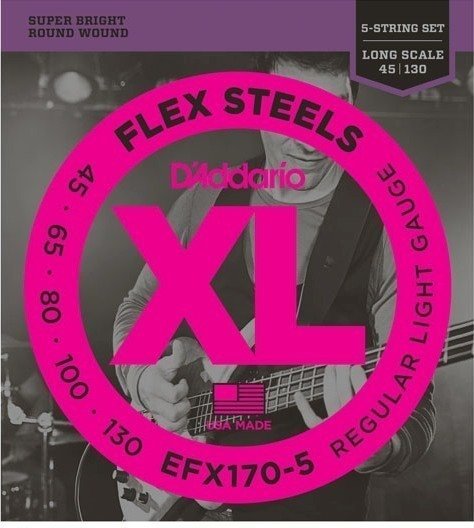 Saiten für 5-saitigen E-Bass, Saiten für 5-Saiter E-Bass D'Addario EFX170-5 FlexSteels 5-String 45-130 Long Scale
