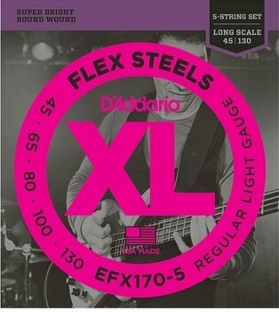 Saiten für 5-saitigen E-Bass, Saiten für 5-Saiter E-Bass D'Addario EFX170-5 FlexSteels 5-String 45-130 Long Scale - 1