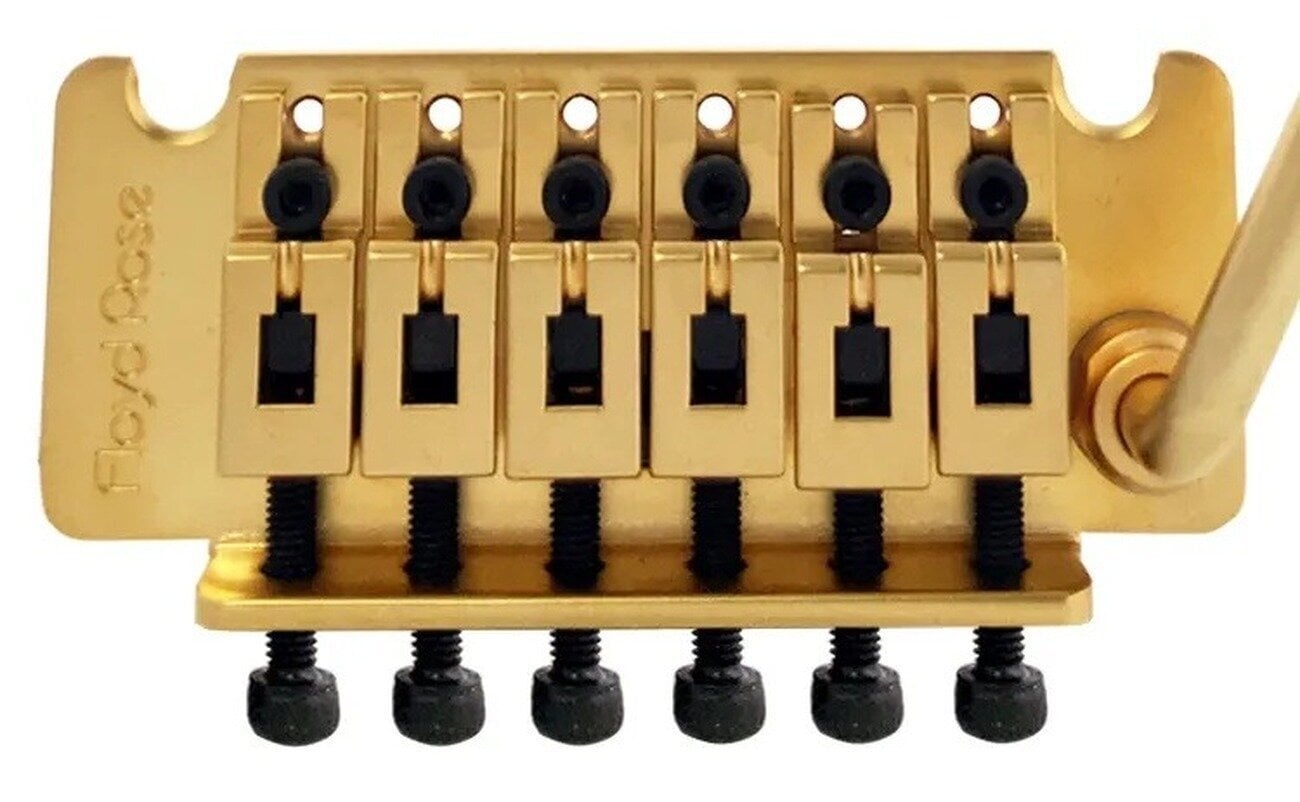 Tremolo Floyd Rose FRTNFTSG