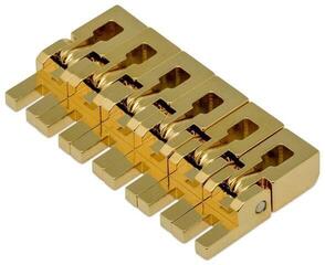 Tremolo Floyd Rose FROBSS10GP