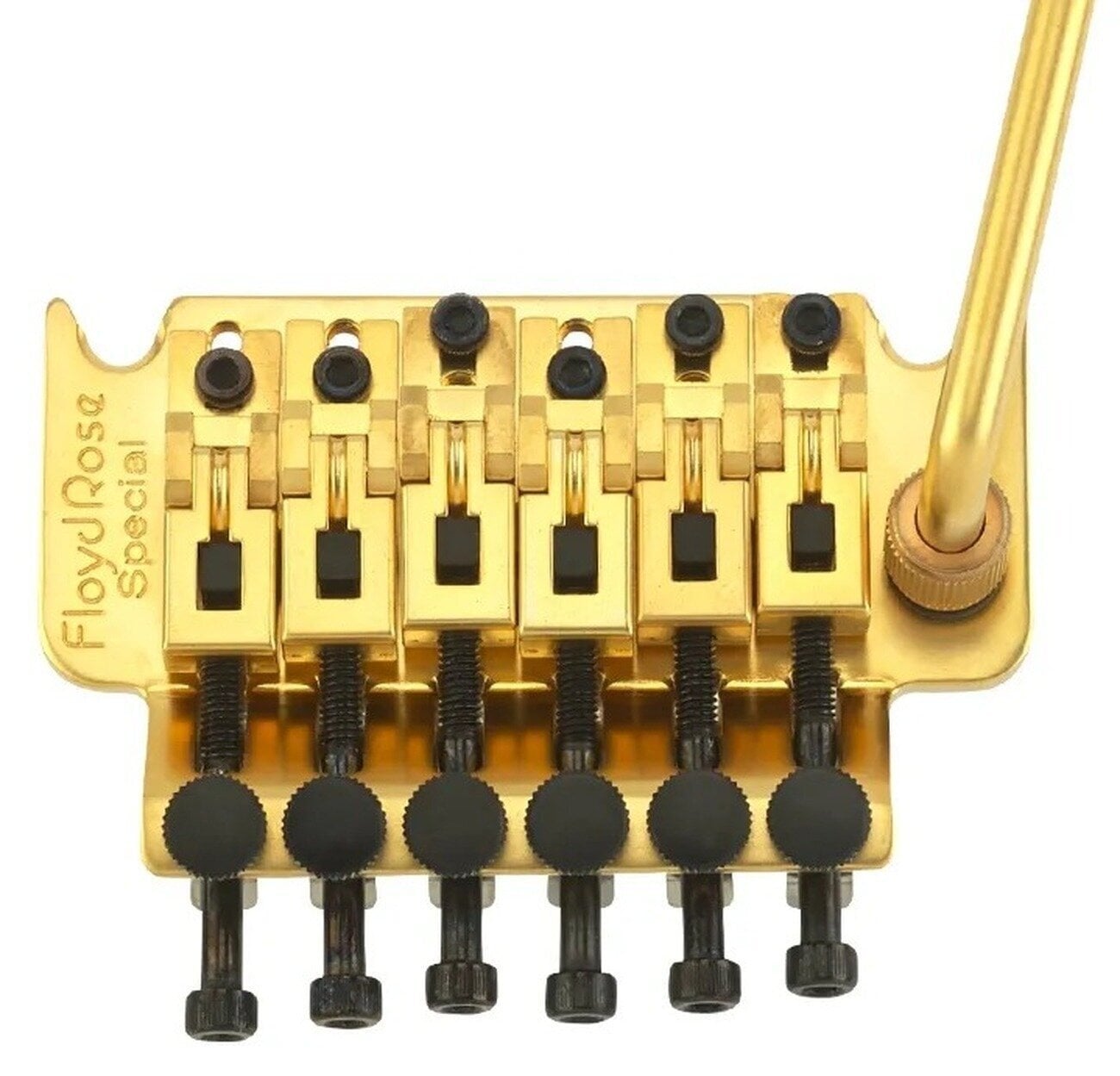 Tremolo Floyd Rose FRTS3000S