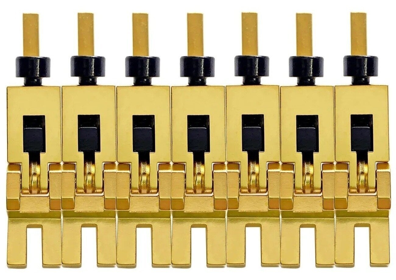 Trémolo Floyd Rose FRP17BSSSG