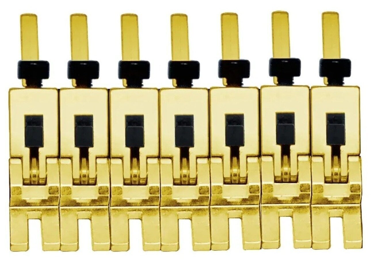 Tremolo Floyd Rose FRP17BSSG