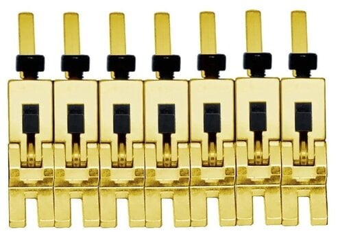 Tremolo Floyd Rose FRP17BSSG - 1