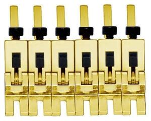 Tremolo Floyd Rose FRP1BSSG