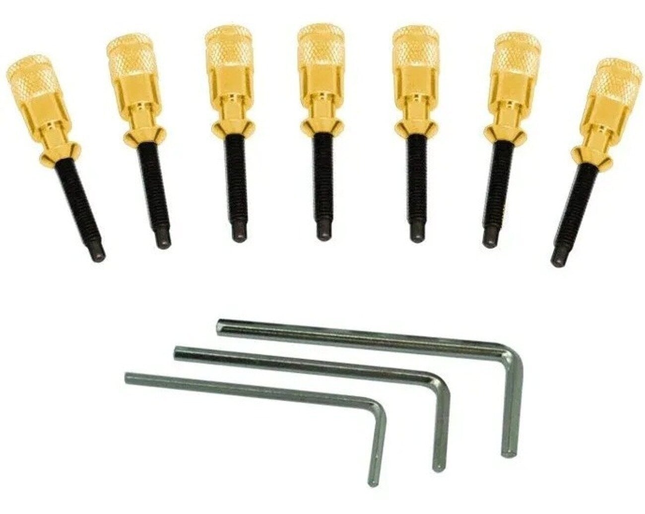 Tremolo Floyd Rose FRHPGP