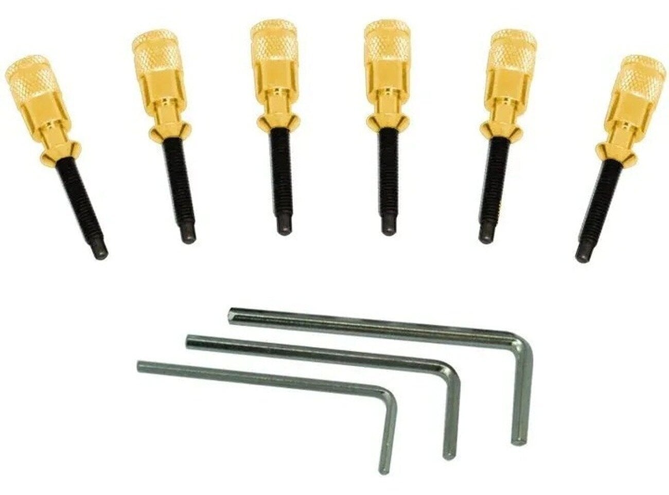 Tremolo Floyd Rose FRHPGP