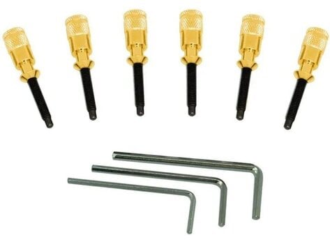 Tremolo Floyd Rose FRHPGP - 1