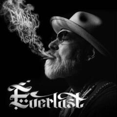 Грамофонна плоча Everlast - Embers To Ashes (2 LP)