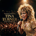 Tina Turner - The Rock N' Roots Of Tina Turner: Simply The Best Hits (LP)