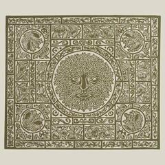 LP ploča Fuzzy Lights - Fen Creatures (Limited Edition) (LP)