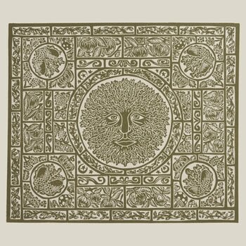 LP ploča Fuzzy Lights - Fen Creatures (Limited Edition) (LP) - 1