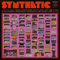 Schallplatte Rich Aucoin - Synthetic - A Synth Odyssey: Season 4 (LP)