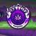 Vinyylilevy Bongzilla - Dab City (Limited Edition) (Purple Merge /Side A/B White/Green Coloured) (2 LP)