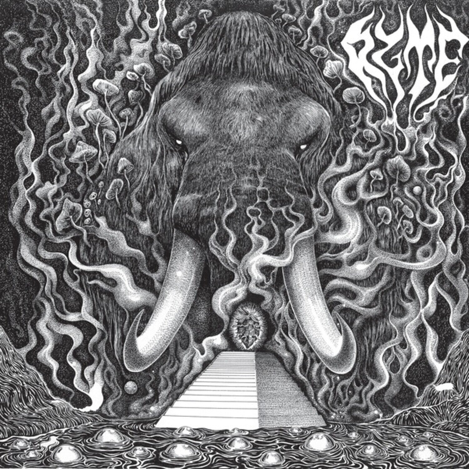Disque vinyle Ryte - Ryte (Limited Edition) (LP)
