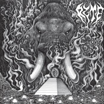 Disque vinyle Ryte - Ryte (Limited Edition) (LP) - 1