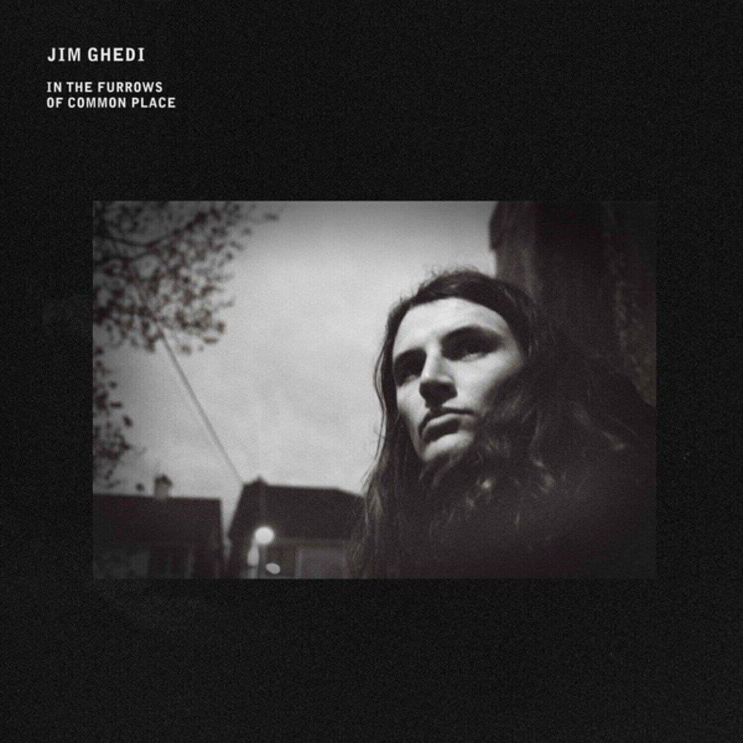 LP platňa Jim Ghedi - In the Furrows of Common Place (LP)