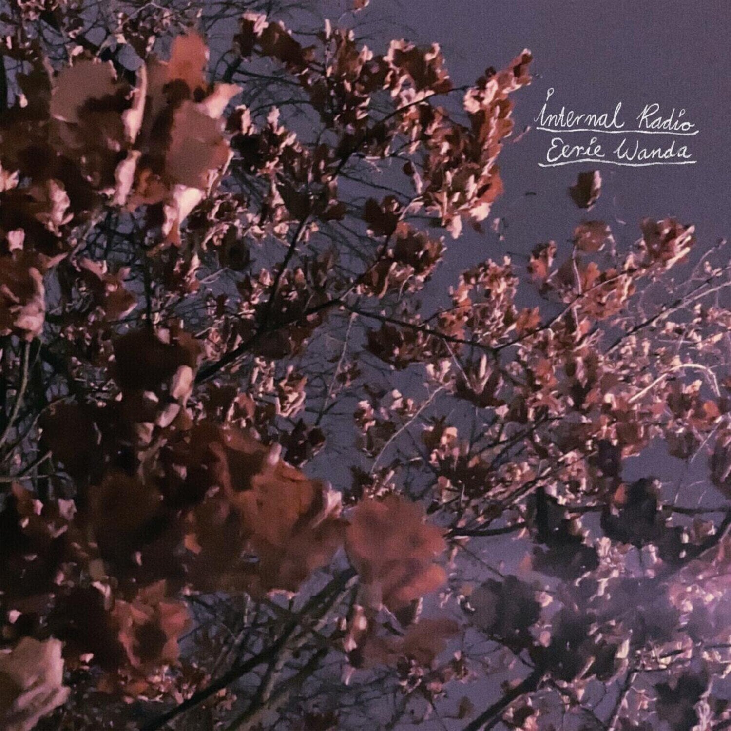 Грамофонна плоча Eerie Wanda - Internal Radio (Limited Edition) (Lavender Coloured) (LP)