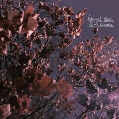 Грамофонна плоча Eerie Wanda - Internal Radio (Limited Edition) (Lavender Coloured) (LP)
