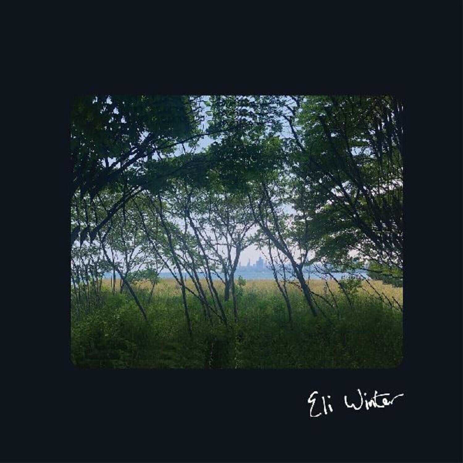 LP deska Eli Winter - Eli Winter (LP)