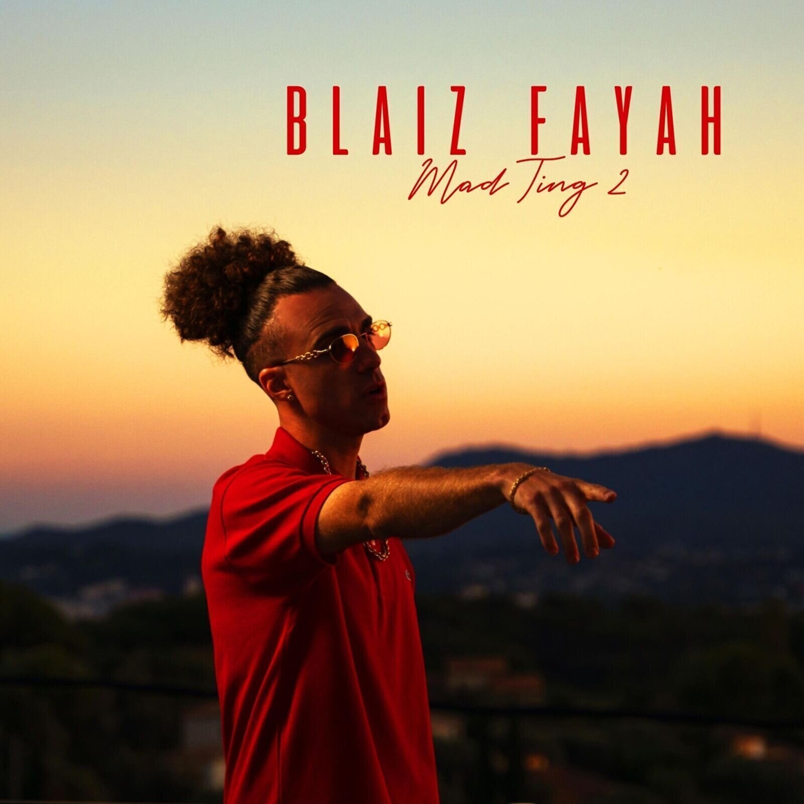LP plošča Blaiz Fayah - Mad Ting 2 (LP)