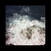 Vinyl Record Whitney Johnson - Hav (LP)