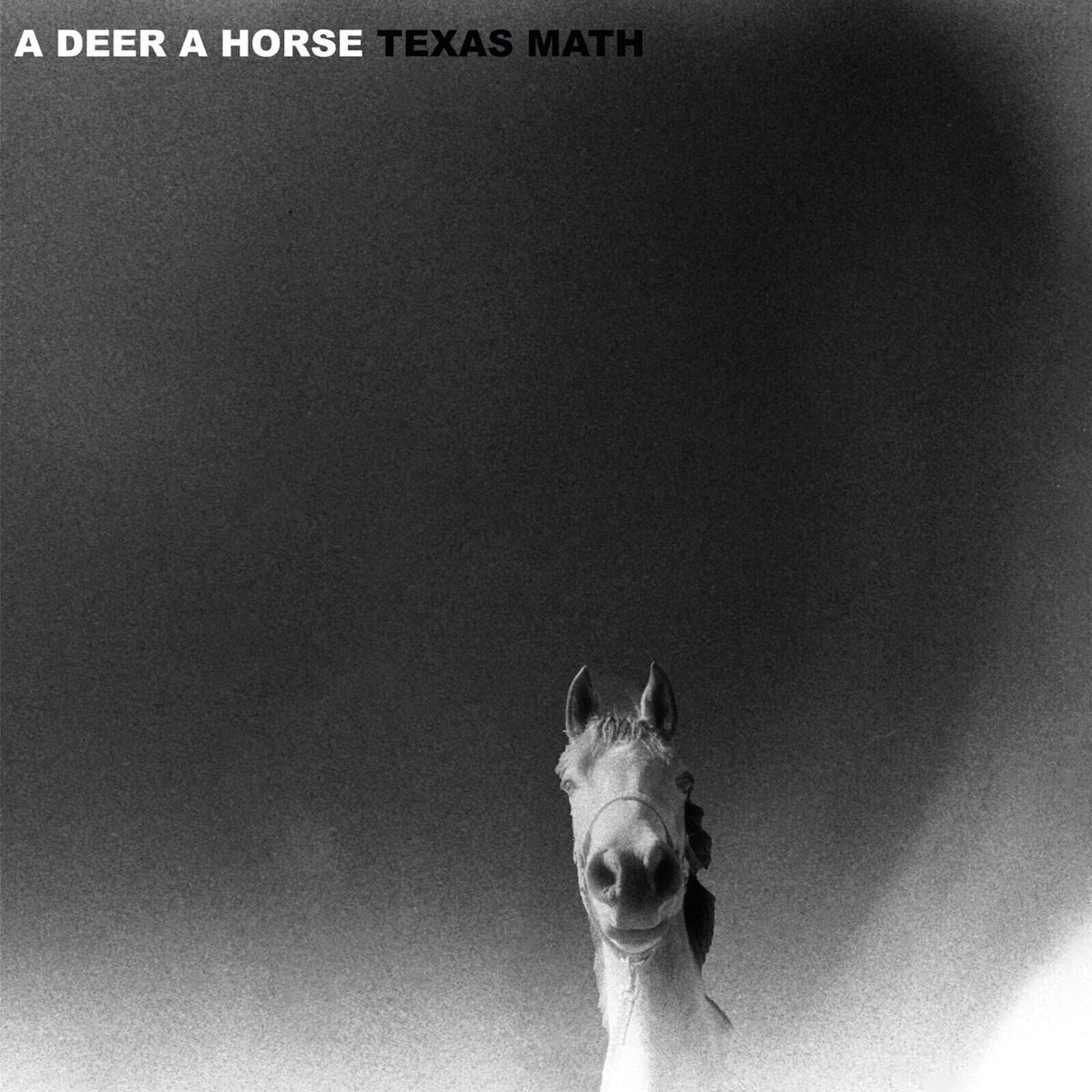 Schallplatte A Deer A Horse - Texas Math (LP)