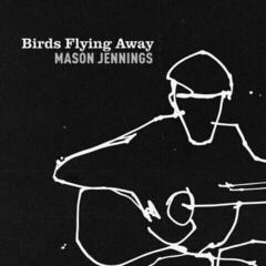 LP Mason Jennings - Birds Flying Away (LP)