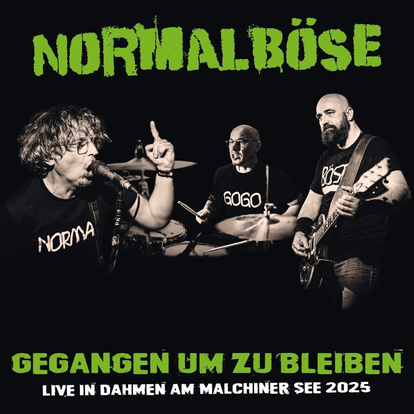 Disco in vinile Normalböse - Gegangen Um Zu Bleiben (LP)