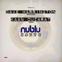 Disque vinyle Various Artists - Nublu Dance Three (LP)