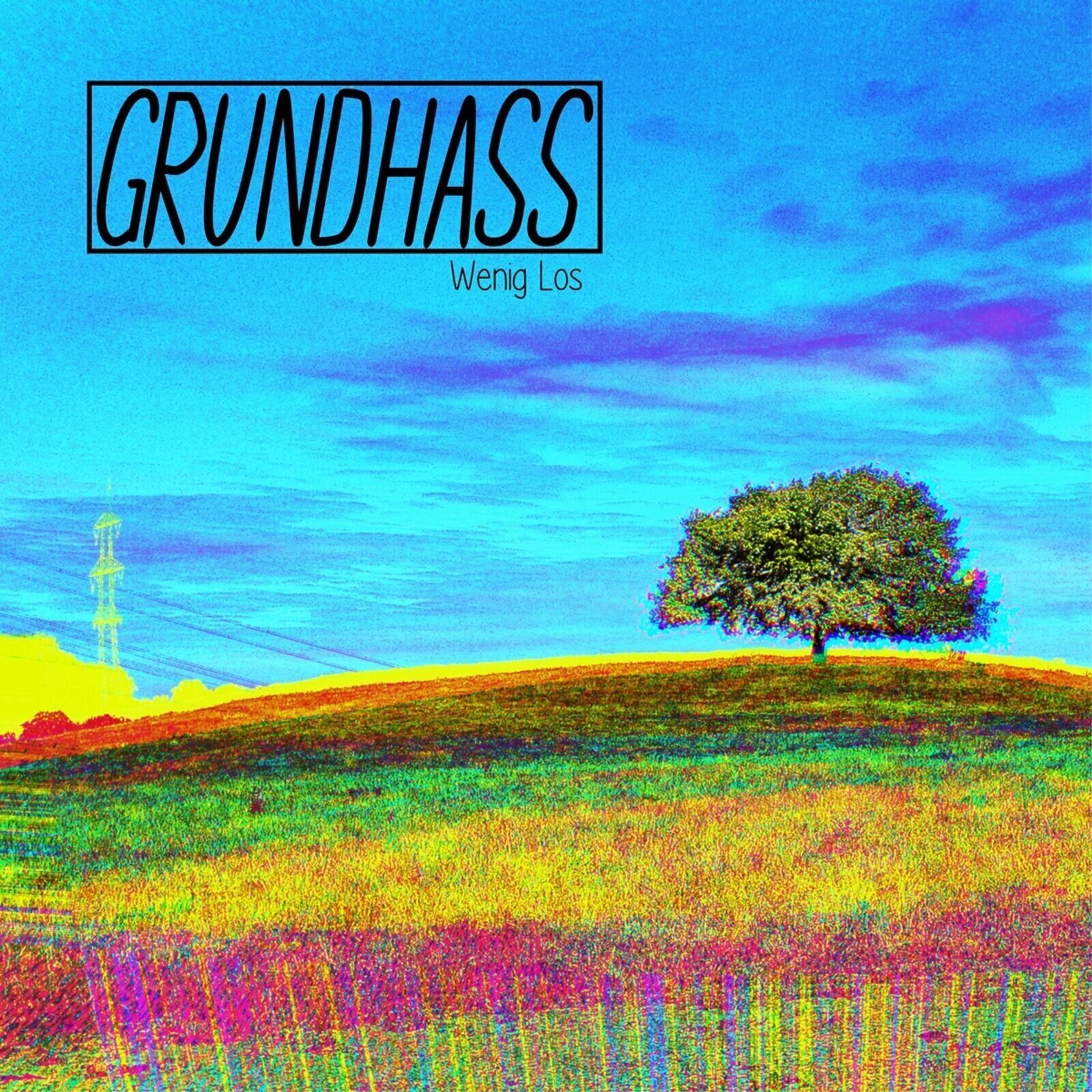 Disco in vinile Grundhass - Wenig los (LP)