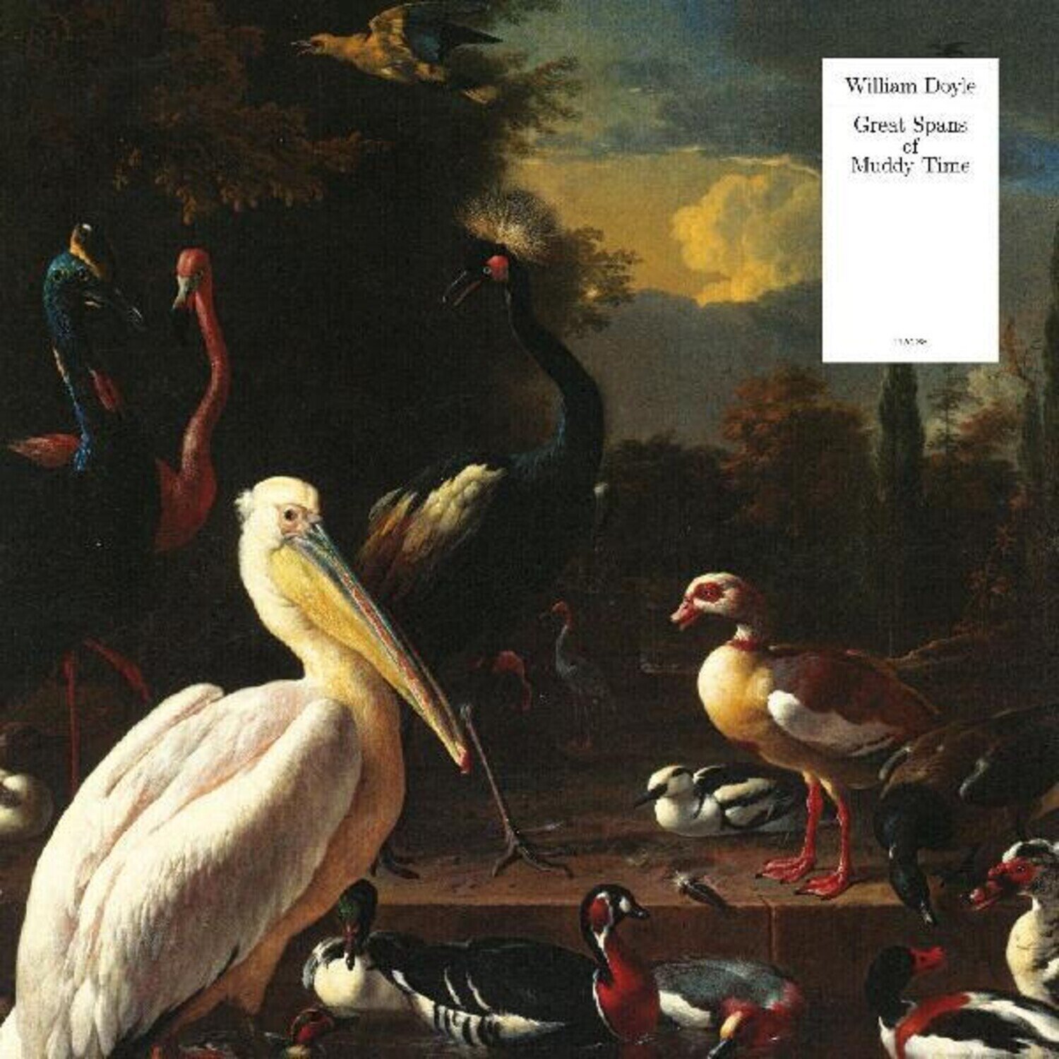 Disco in vinile William Doyle - Great Spans Of Muddy Time (Limited Edition) (Pelican White Coloured) (LP)