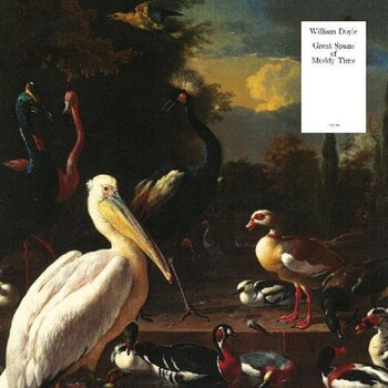 Disco in vinile William Doyle - Great Spans Of Muddy Time (Limited Edition) (Pelican White Coloured) (LP) - 1