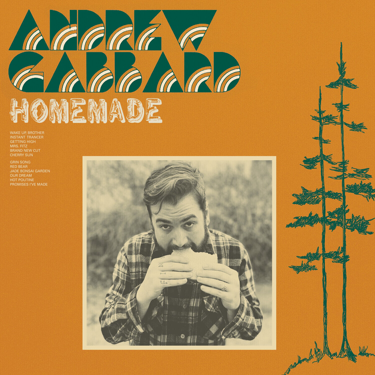 LP deska Andrew Gabbard - Homemade (Limited Edition) (Camo Green Coloured) (LP)