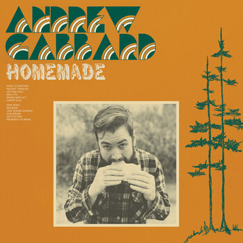 LP deska Andrew Gabbard - Homemade (Limited Edition) (Camo Green Coloured) (LP) - 1