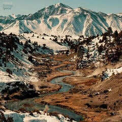 Disque vinyle Will Sheff - Nothing Special (Limited Edition) (Eco Mix Coloured) (LP)