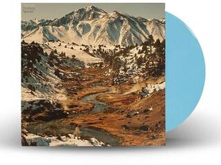 LP plošča Will Sheff - Nothing Special (Limited Edition) (Cloudy Skies Coloured) (LP)