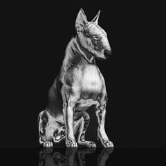 Vinyl Record Riskee And The Ridicule - Platinum Statue (Limited Edition) (Coloured) (LP)