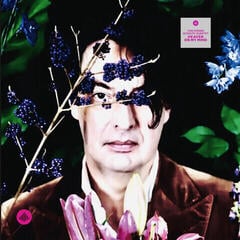 LP plošča Yuri Honing Acoustic Quartet - Heaven On My Mind (LP)
