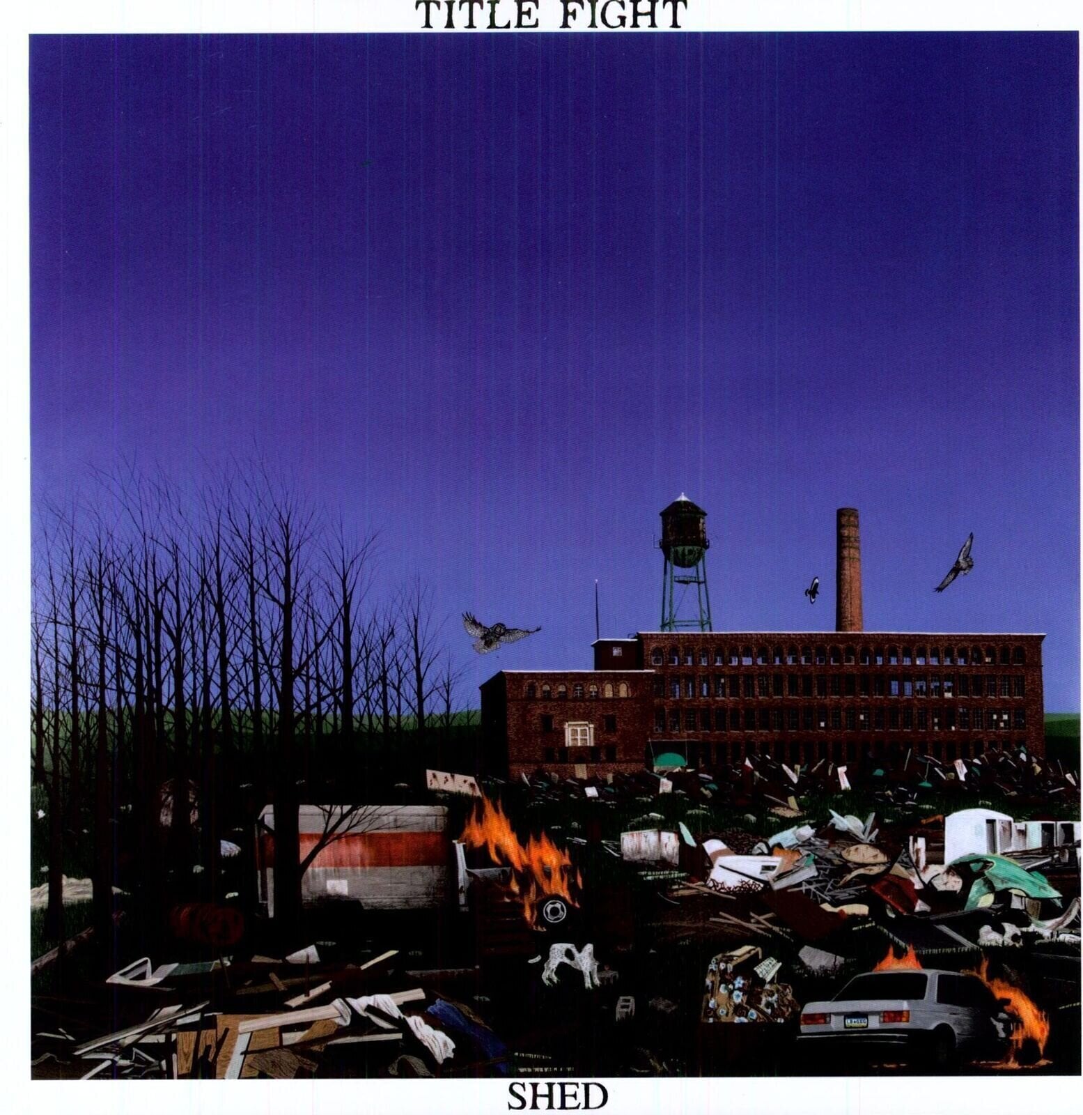 LP deska Title Fight - Shed (Gatefold Sleeve) (LP)